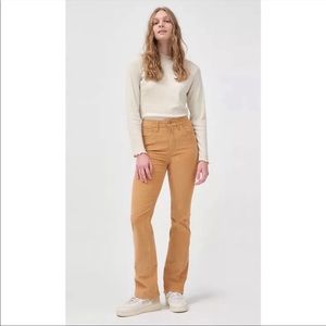 Levi Corduroy Pants